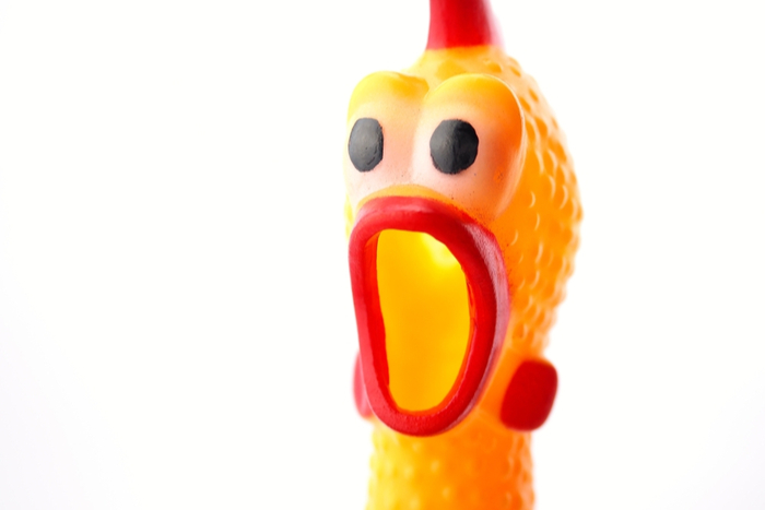 この使い方は卑怯！ 大声で鳴くニワトリのおもちゃを蛇口に付けた結果…