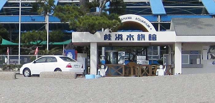 180513katsurahama_eye