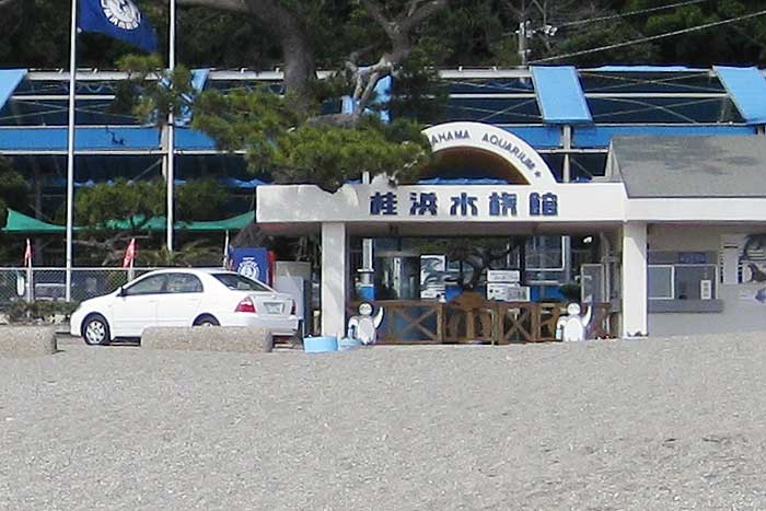 給料が出ません…!? ＧＷ後の来客減少を嘆く「水族館スタッフの奇行」が話題に！