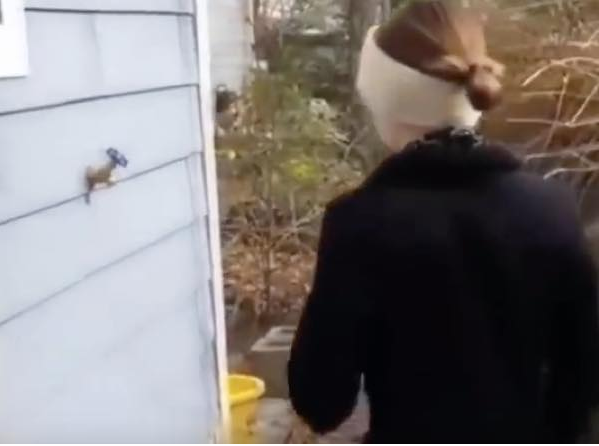 出典：YouTube（Incredible Machines）