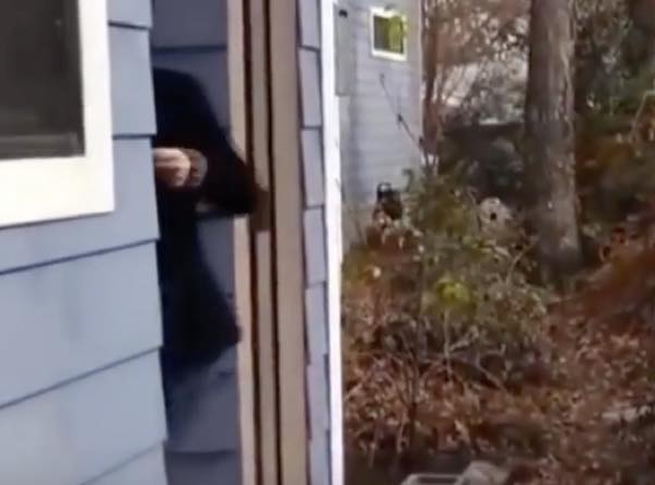 出典：YouTube（Incredible Machines）