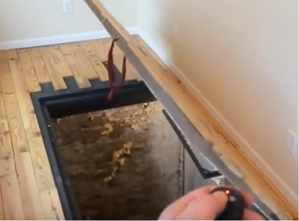 出典：YouTube（Incredible Machines）