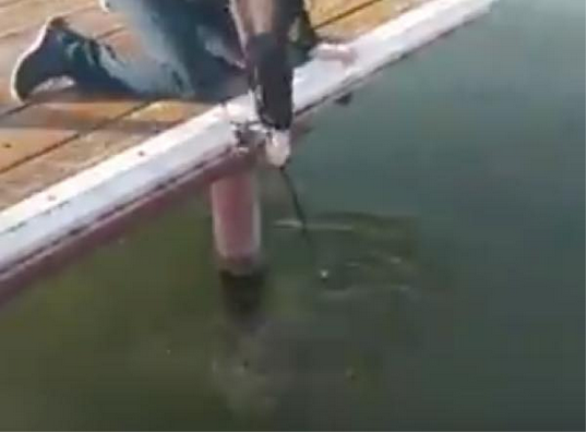 出典：YouTube（RM Videos）