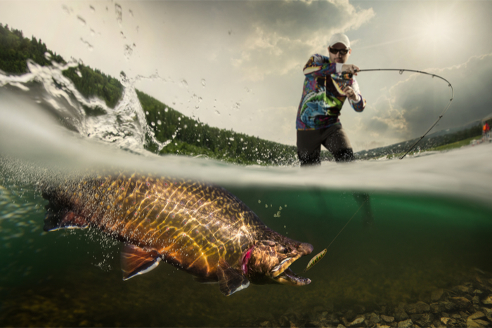 魚を釣り上げる寸前のところで糸が切れて…。その後、とんでもない奇跡が起こる！