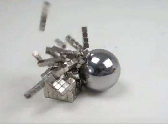 出典：YouTube（ViralHog）