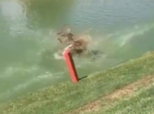 出典：YouTube（RM Videos）