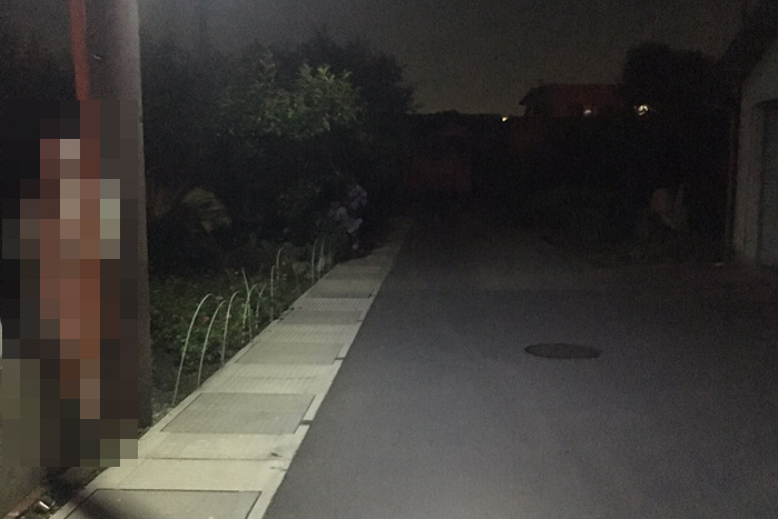 思わず「うわー！」自転車で夜道を走行中、ふと道路脇を見ると恐怖の光景が…