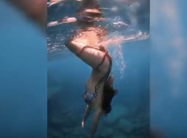 出典：YouTube（Caters Clips）