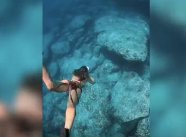 出典：YouTube（Caters Clips）