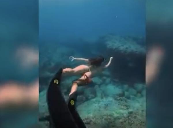 出典：YouTube（Caters Clips）