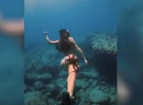 出典：YouTube（Caters Clips）