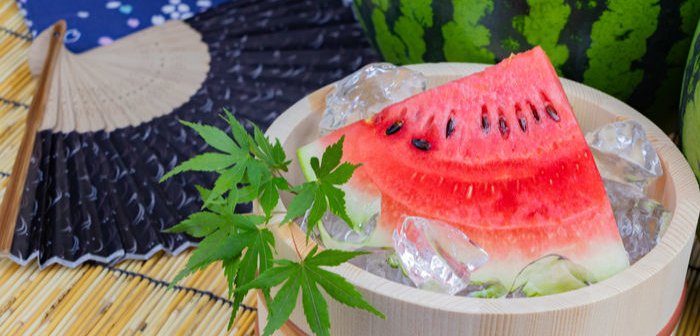 shutterstock_1131522113