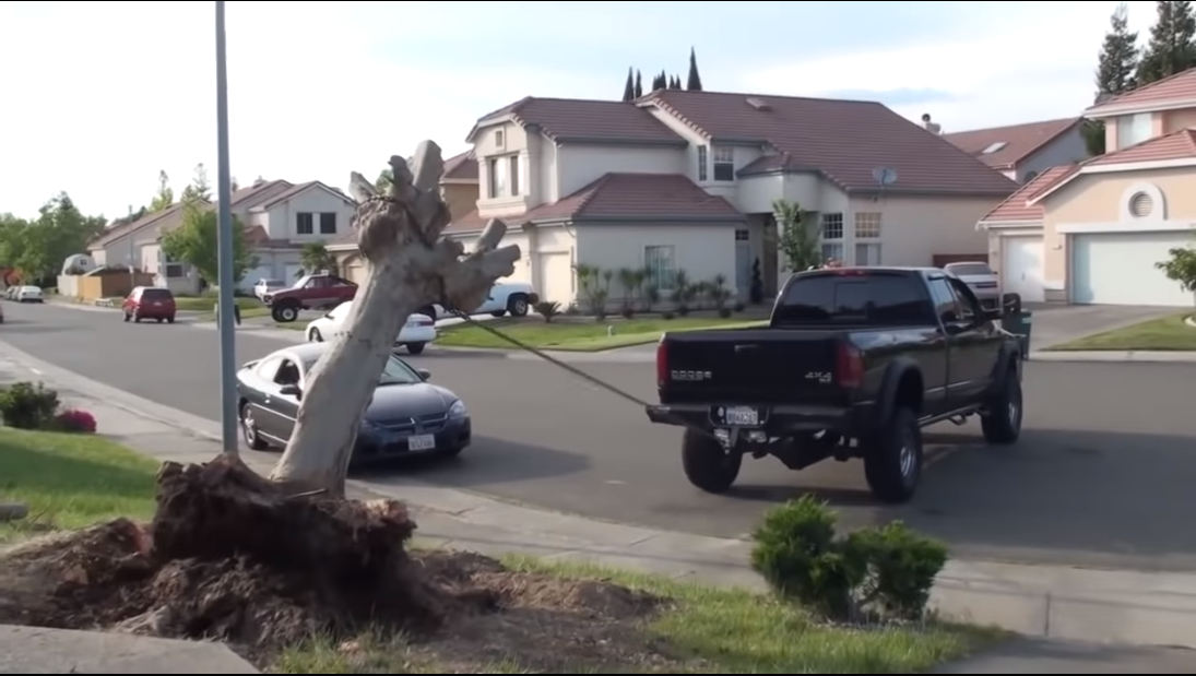 海外では日常？ 自動車で「切り株」を引っこ抜く動画まとめが見ていて気持ちいい！