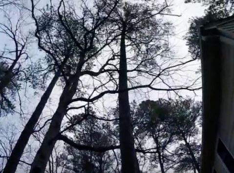 出典：YouTube（Jonathan Hill）