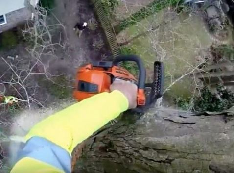 出典：YouTube（Jonathan Hill）