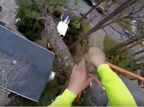 出典：YouTube（Jonathan Hill）