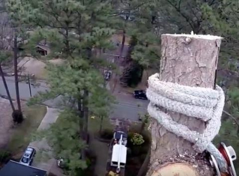 出典：YouTube（Jonathan Hill）