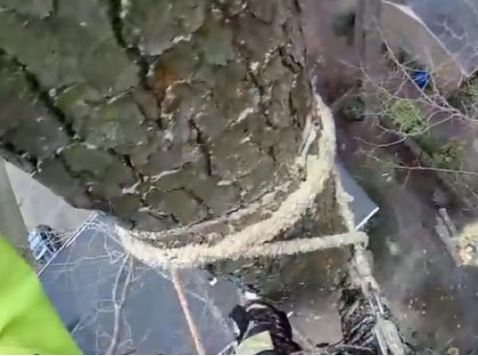 出典：YouTube（Jonathan Hill）