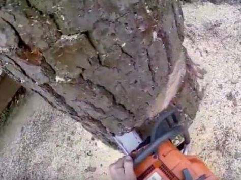 出典：YouTube（Jonathan Hill）