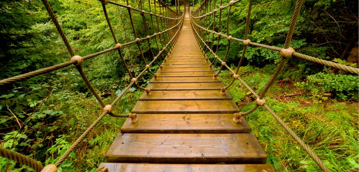 shutterstock_1118423396