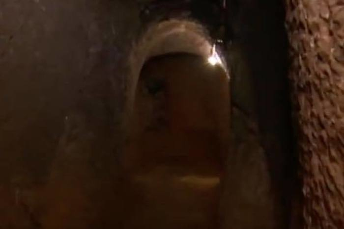 出典：YouTube（ZED.am）