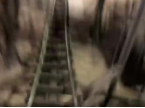 出典：YouTube（Theme Park University） 