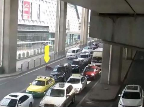 出典：YouTube（People’s Daily, China 人民日?） 