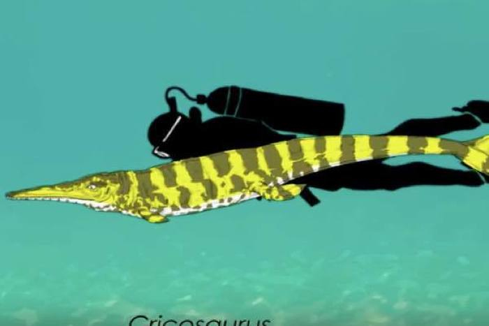 出典：YouTube（Yellow Dragon）