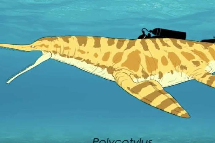 出典：YouTube（Yellow Dragon）