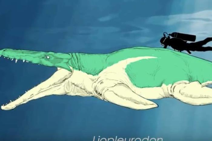 出典：YouTube（Yellow Dragon）