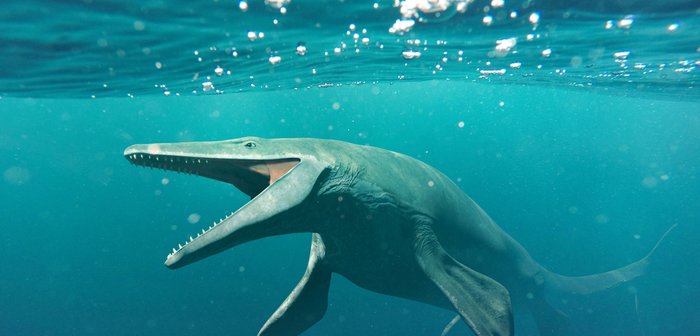 shutterstock_789354754