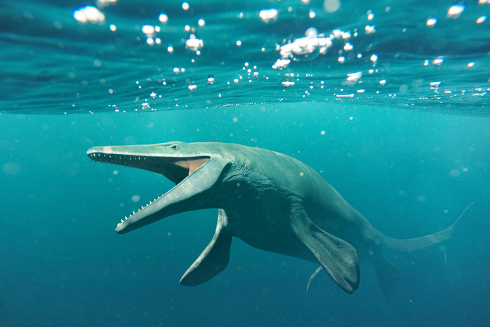恐竜デカすぎ。ジュラ紀の海に生息した「海洋生物」と「人間」の比較動画が話題！