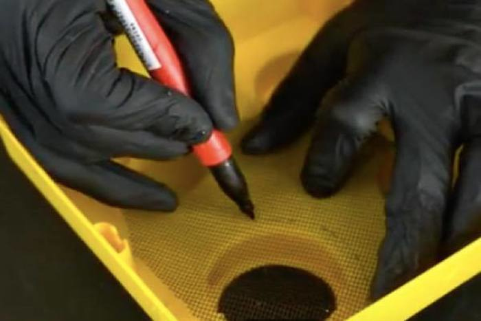 出典：YouTube（The King of Random）