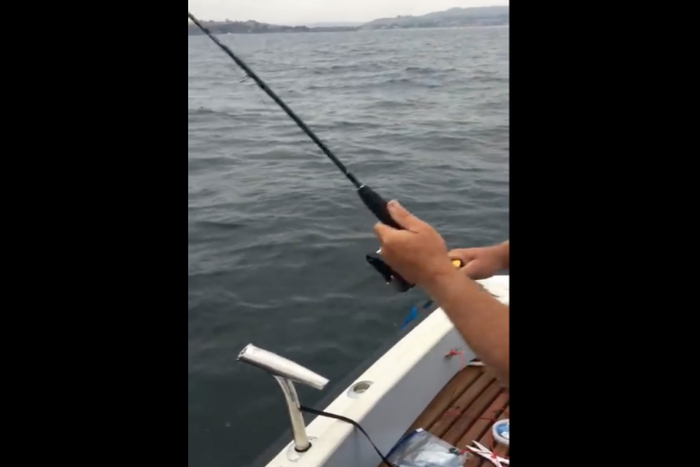 出典：YouTube（ViralHog）