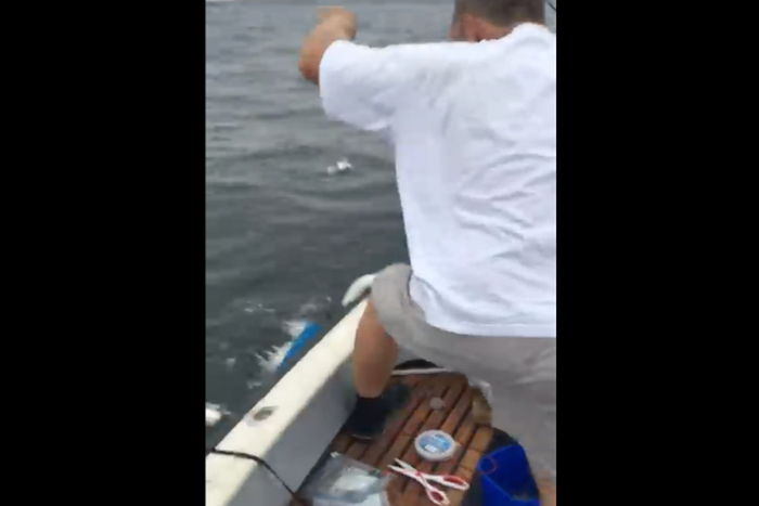 出典：YouTube（ViralHog）