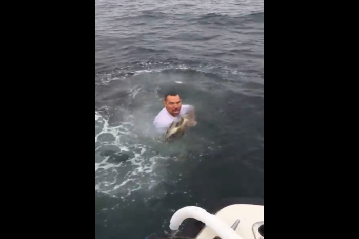 出典：YouTube（ViralHog）