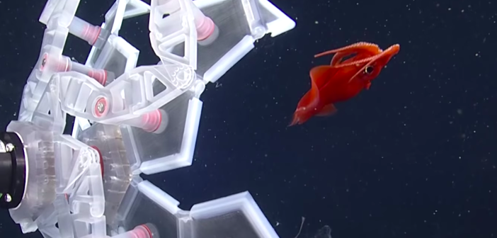 スクリーンショット 2018-09-21 14.24.41