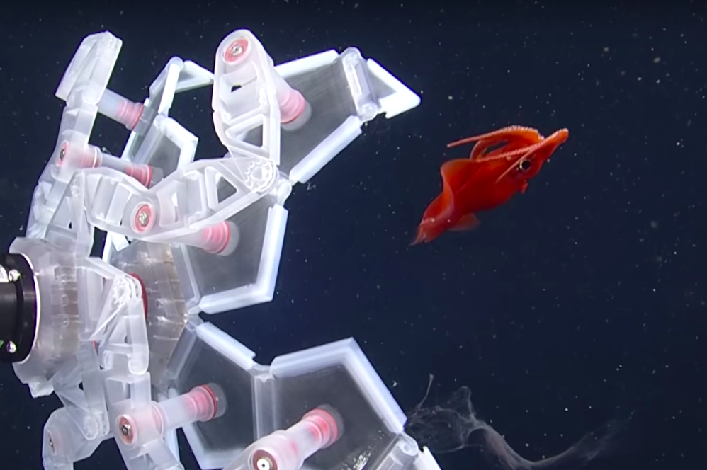 ふにゃふにゃの深海生物を無傷でゲット！ ハーバード大が作った捕獲ロボが凄いと話題