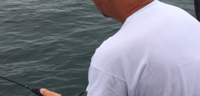 zaraba 2018-09-22 18.17.01