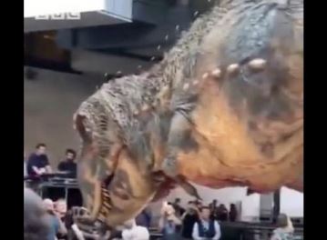 出典：YouTube（HAlDTECH HIGH PERFORMANCE DRONE SERVICES）