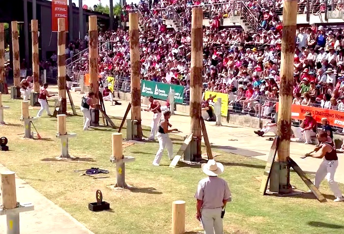 世界「木こり」コンテスト開催！ 強者たちが猛スピードで木を切る姿が面白い