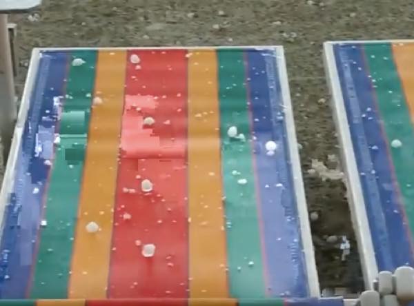 出典：YouTube（Storyful Rights Management）