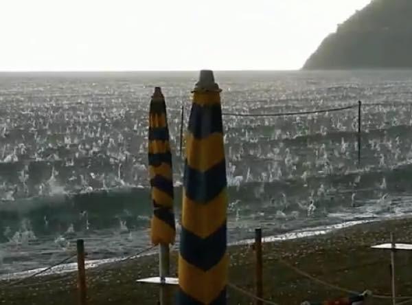 出典：YouTube（Storyful Rights Management）