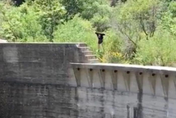 出典：YouTube（Caters Clips）