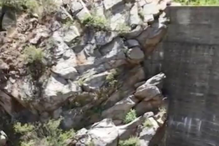 出典：YouTube（Caters Clips）