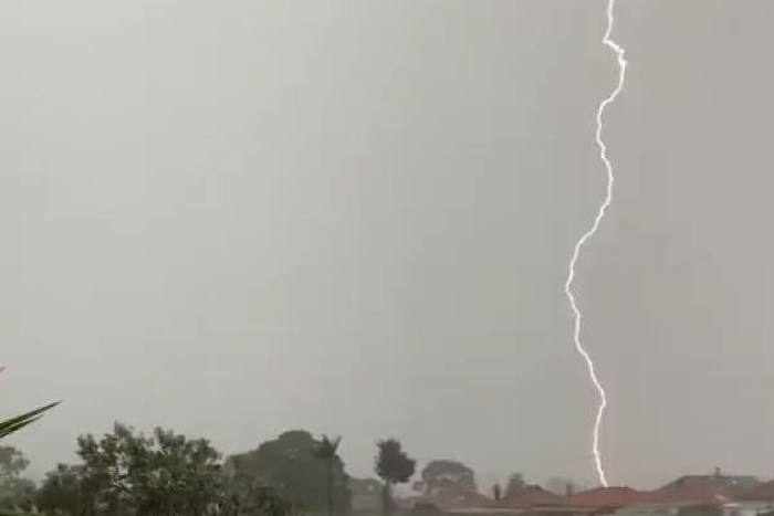 出典：YouTube（ViralHog）