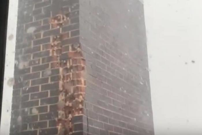 出典：YouTube（ViralHog）