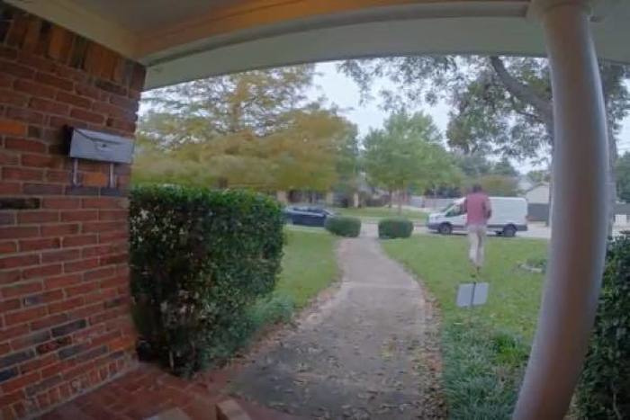 出典：YouTube（ViralHog）