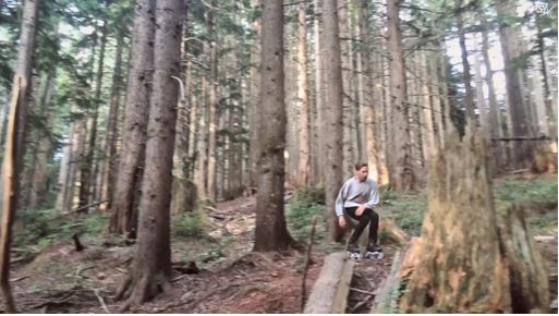 出典：YouTube（Powerslide Inline skates） 