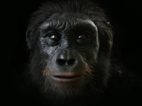 出典:YouTube(Mammoth)